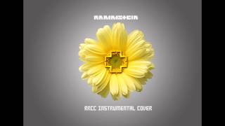 Rammstein - Der Meister (instrumental cover)