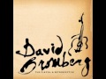David Bromberg - I Like to Sleep Late in the Morning