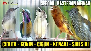Download lagu SPECIAL MASTERAN BURUNG KECIL CIBLEK KRISTAL - SIRI SIRI - KENARI - CIBLEK GUNUNG - KONIN mp3