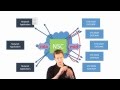 Video 6 Understanding Cloud Mechanisms NSC Function