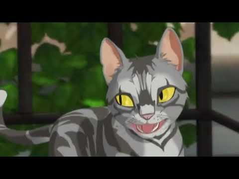 Трейлер