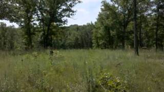 preview picture of video '310 Solidarity Farms  Dr, St. Clair, MO  63077'
