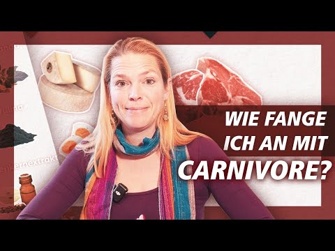 Wie startet man mit Carnivore?