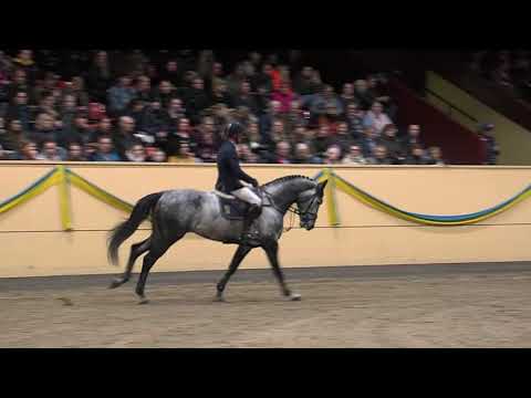 Kannatol Flyinge 2019