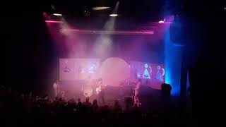 Ezra Furman, Peel My Orange Every Morning, live.