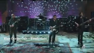 Blue Öyster Cult ~ Tenderloin ~ 2016 ~ Live Video, Audience Network Special