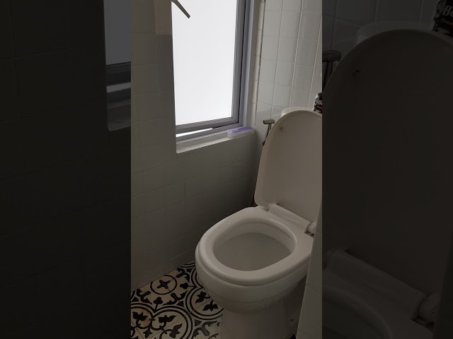 Studio Walk-up Apartment (Condo) for Rent in Tiong Bahru Estate - Image 18