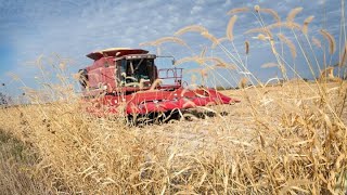 Farmers feeling pain from tariffs