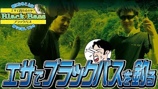 【釣り】餌釣りならものすごいバスが釣れるのでは？