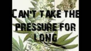 Officer Slightly Stoopid lyrics