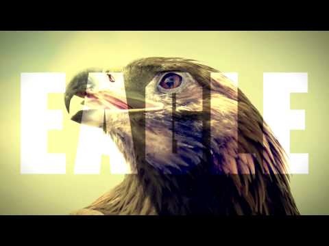 Video thumbnail for Eagle Eyes