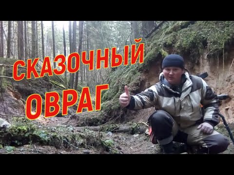 Овраг в лесу аж сердце замирает. Менты приехали на КОП и отжали металлоискатель у кладоискателя 2020