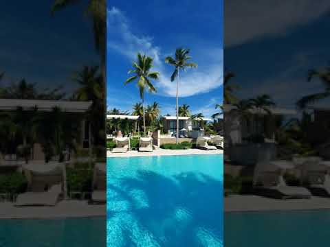 Videos del Catalonia Royal Bavaro 5★ en Punta Cana, República DominicanaVer MásVerPrecios22CerrarConsulta por Whatsapp 🇦🇷BookingTripadvisorExpediaAgodaTravelocityOrbitzPricelineTripSkyscannerDespegarKayakHotelesBestdayDestiniaTrivagoTurismocityAlmundoLastminuteHotwireCheapticketsTuiWotif