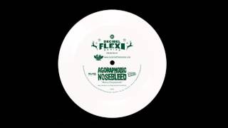 Agoraphobic Nosebleed - "Merry Chrystmeth" from the Decibel Flexi Series