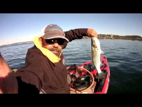 Scotty Kayak Transducer Mount 141