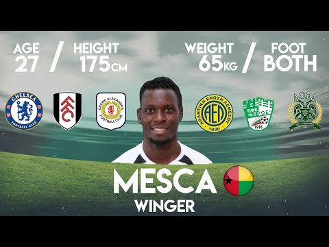 MESCA | Best Moments Winger 2016-2020
