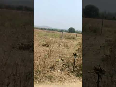  90 Acre Agricultural/Farm Land for Sale in Ramtek, Nagpur