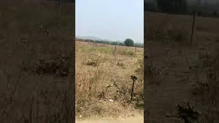  Agricultural Land for Sale in Ramtek, Nagpur