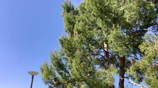 愛国保守より、ご挨拶させて頂きます