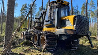 Форвардер Eco Log 584F | Изображение 5 - Agroline