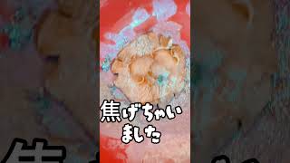 【VTuber】椎茸の簡単電子レンジレシピ【料理】