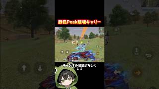 野良Peakで破壊キャリーか!?#荒野行動 #あでがえーる #shorts