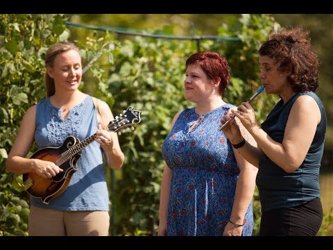 Old Maid in the Garrett - Whiskey and Pie