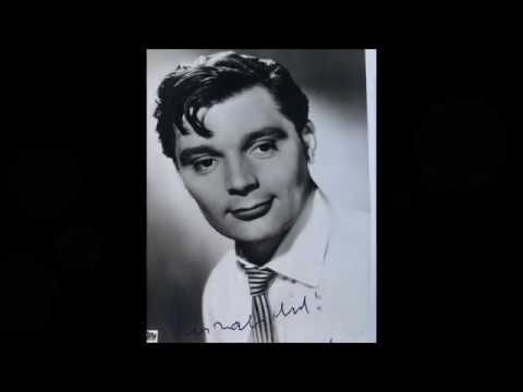 Eine Hommage an Peer Schmidt