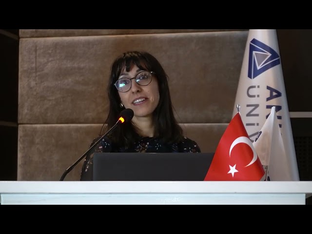 Duygusal Dikkatte Algısal Yük