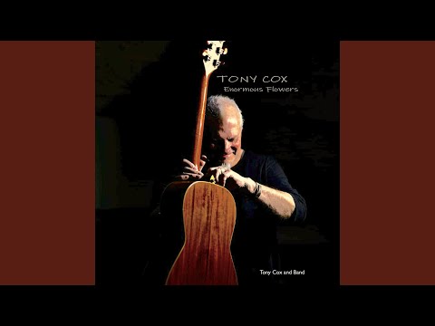House Of Parliament Blues - Tony Cox