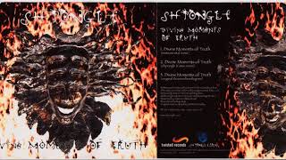 Shpongle - Divine Moments Of Truth (Instrumental Remix)