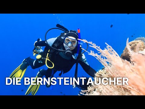 Die Bernsteintaucher | Das verborgene Gold der Ostsee: Bernsteinjäger unter Wasser
