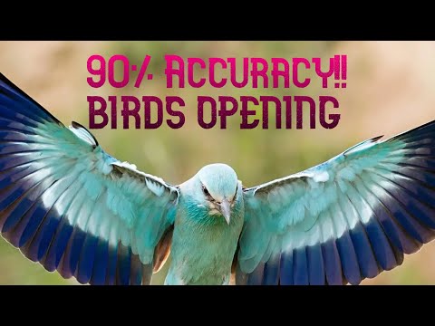 Near Perfect BIRD'S GAME!! | 90% Accruacy!!! | How to play Birds Opening!! | #chess #chesscom
