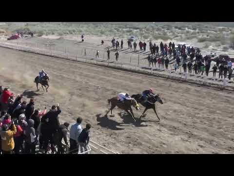 DALMINE  Club Hipico Añelo - Añelo -  03/09/2023