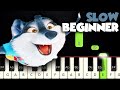 Girl On Fire - Sing 2 | SLOW BEGINNER PIANO TUTORIAL + SHEET MUSIC by Betacustic