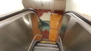 CSUF McCarthy Hall Escalators (TDLOAT: Ep. 55)