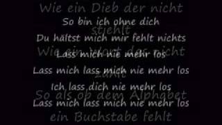Sportfreunde Stiller - Lass mich nie mehr los (Lyrics)