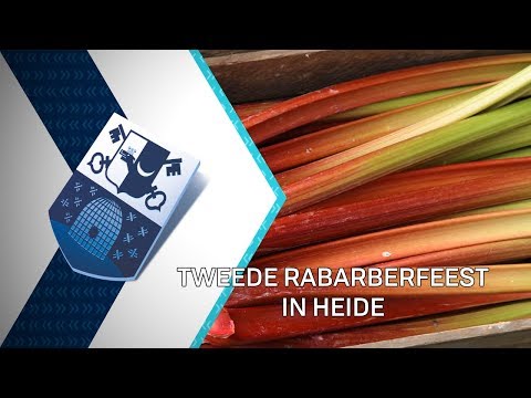 Rabarberfeest in Heide - 13 mei 2019 - Peel en Maas TV Venray