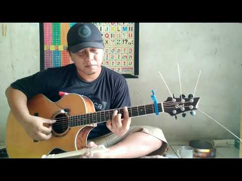 My Heart Will Go On - Celine Dion (fingerstyle cover)