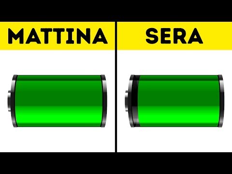 La targa contro vermi per un cucciolo come dare Quali farmaci per vermi per il bambino 1 anno