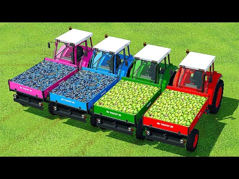HARVEST OLIVE AND GRAPE AND LOAD WITH FENDT TRACTORS - Farming Simulator 22