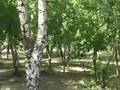 Pavlodar/Павлодар 