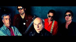 Pat Todd &amp; the Rankoutsiders - I won't forgive you