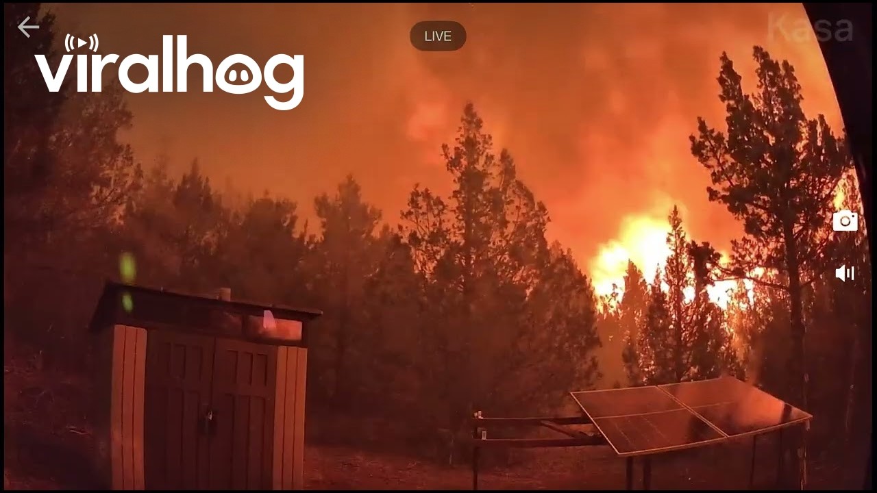 Utah Juniper Forest Fire Claims Cabin || ViralHog