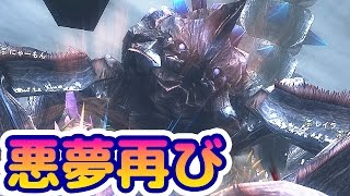 【MHF-Z実況】★４『アクラ・ヴァシム辿異種』を解説しつつ語ります。【モンハンフロンティアZ】