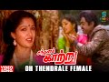 Oh Thendrale Video Song Sandhana Kaatru Movie Vijayakanth Gouthami KS Chithra