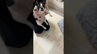 こんなに物分かりの良いフレブルいない気がするから見て