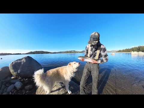2 Nights Alone in the California Wilderness | Winter Tarp Camping & Trout Fishing at Loon Lake