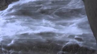 anomaly pictures forest sound  Atmospheric music audience sound effects audio library