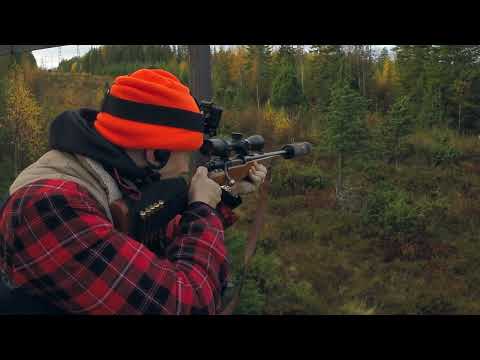 Älgjakt i Hälsingeskogarna  2025